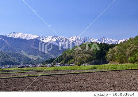 白馬村から望む北アルプス 白馬村から望む北アルプス 103003914