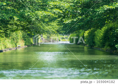十石船 伏見の観光 十石船 伏見の観光 103004182