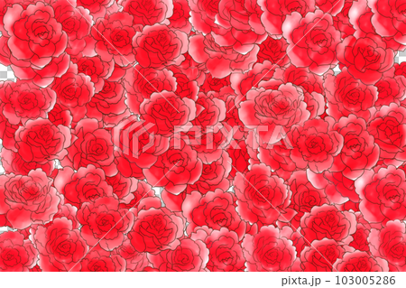 少女紅玫瑰卡1張 少女紅玫瑰卡1張 103005286