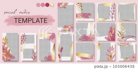 Social media template. Instagram post frames, gold design and plants for story and post, vertical banner leaf pattern, layout with photo collage. Transparent layer, vector background set Social media template. Instagram post frames, gold design and plants for story and post, vertical banner leaf pattern, layout with photo collage. Transparent layer, vector background set 103006438