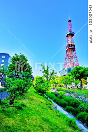 ライラックの花が咲く札幌市中心部 創成川公園の風景 103007048