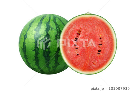 スイカのイラスト リアル スイカのイラスト リアル 103007939
