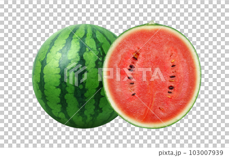 スイカのイラスト リアル スイカのイラスト リアル 103007939
