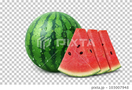 Watermelon illustration real Watermelon illustration real 103007948