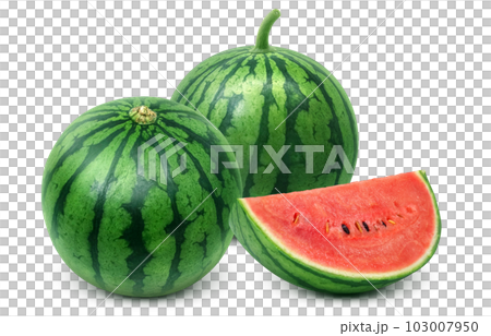 スイカのイラスト リアル スイカのイラスト リアル 103007950