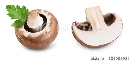 Royal Brown champignon with leaf parsley isolated on white background with full depth of field Royal Brown champignon with leaf parsley isolated on white background with full depth of field 103008983