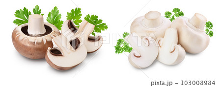 Royal Brown and white champignon isolated on white background with full depth of field Royal Brown and white champignon isolated on white background with full depth of field 103008984