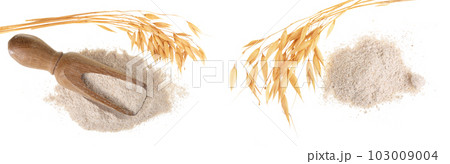 oat spike with flour in wooden scoop isolated on white background. Top view. Flat lay 103009004