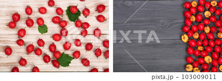 Hawthorn berry with leaves on a white and black wooden background. top view 103009011