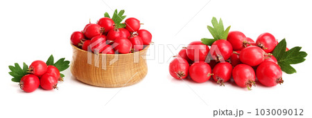 Hawthorn berry with leaf in a wooden bowl isolated on white background close-up 103009012