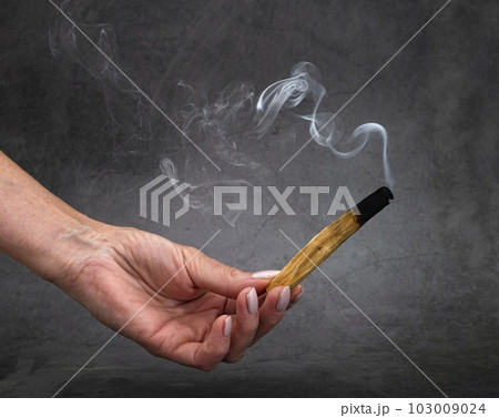 palo santo in studio palo santo in studio 103009024