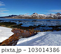 東アイスランドの村の雪解け 103014386