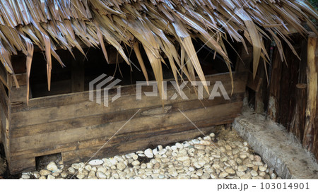 A wooden natural cage for home animal like guinea pig and rabbit 103014901