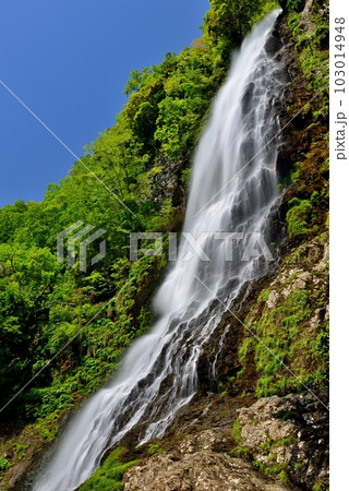 新緑の天滝 103014948