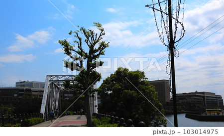 横浜市桜木町 海を渡る遊歩道 汽車道 港一号橋梁 103014975