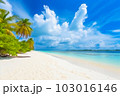 A picturesque view of Maldives island's tropical beach, with its soft white sand, towering palm trees, and pristine turquoise waters, all created by Generative AI 103016146