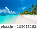 A beautiful panoramic view of Maldives island's tropical beach, showcasing its pristine white sand, lush palm trees, and crystal-clear turquoise waters, all generated by Generative AI 103016162