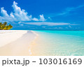 An idyllic scene of Maldives island's tropical beach, featuring its soft white sand, tall palm trees, and crystal-clear turquoise waters, all generated by Generative AI 103016169