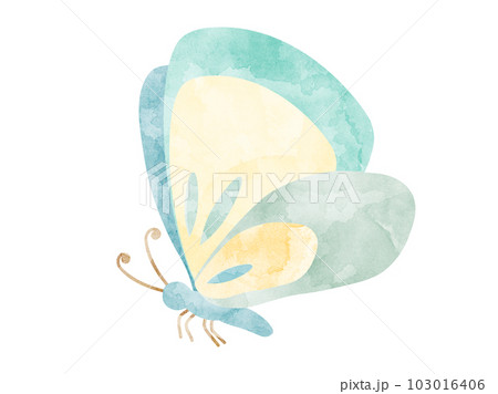 水彩風に加工した蝶のイラスト 水彩風に加工した蝶のイラスト 103016406