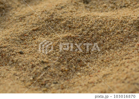 Happy Asian family travel on beach on holiday 103016870