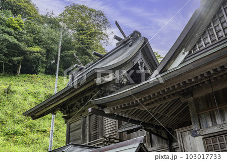 須我神社　本殿　島根県雲南市 103017733