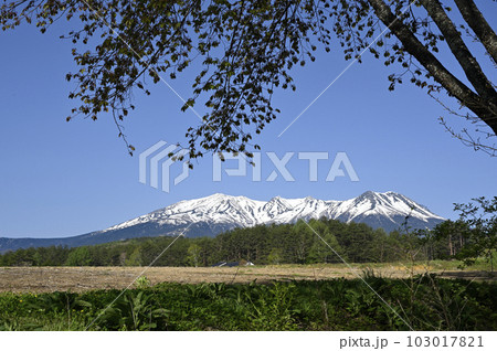 開田高原からの御嶽山 103017821
