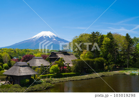 忍野八海と富士山 忍野八海と富士山 103019298