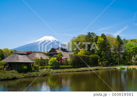 忍野八海と富士山 103019301