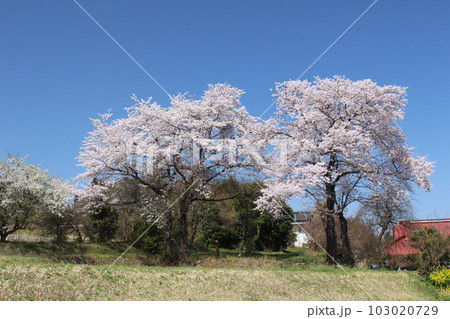 唐桶宗山公園 103020729