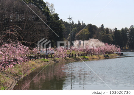 唐桶宗山公園 103020730