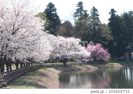 唐桶宗山公園 103020732