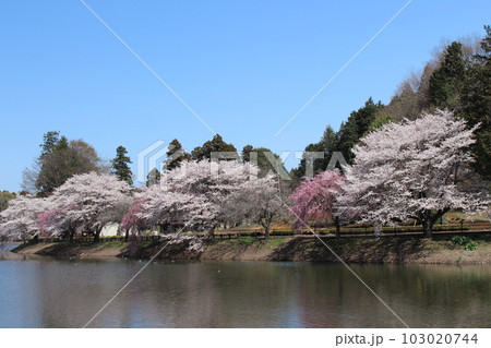 唐桶宗山公園 103020744