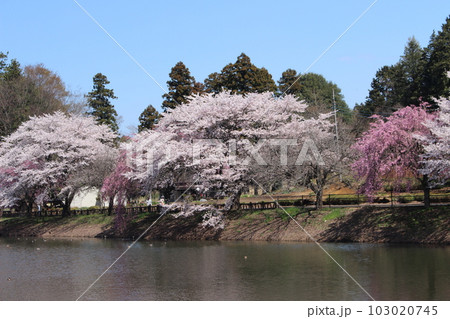 唐桶宗山公園 103020745