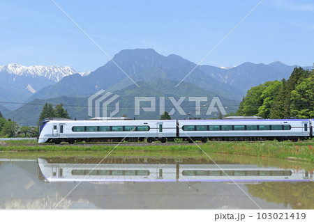 大糸線　5月の安曇野を行く特急あずさ 103021419