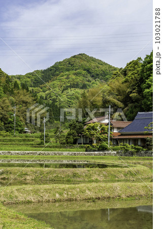 須谷地区からの八雲山　島根県松江市 103021788