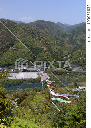 四万十川の鯉のぼり(高知県こいのぼり公園) 四万十川の鯉のぼり(高知県こいのぼり公園) 103021835