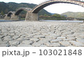 錦帯橋 103021848