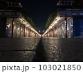 浅草仲見世 103021850