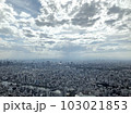 東京の空 103021853