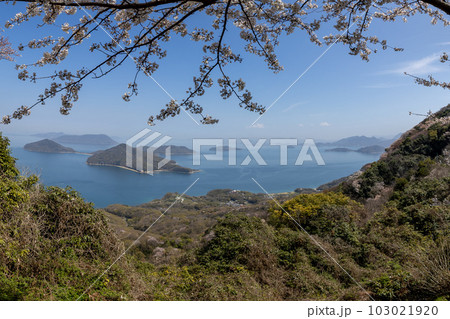 紫雲出山（しうでやま）山頂からの眺め（香川県三豊市） 103021920