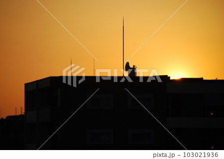 ビルのシルエット ビルのシルエット 103021936