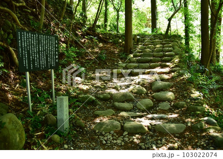 島田市　蓬莱橋南岸の石畳散策路（旧島台坂）と案内板 103022074