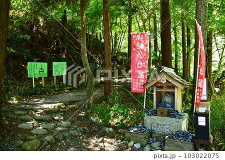 島田市　蓬莱橋南岸の石畳散策路と蓬莱縁結び地蔵 103022075