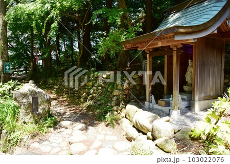島田市 蓬莱橋南岸の散策路と蓬莱吉祥天女 島田市 蓬莱橋南岸の散策路と蓬莱吉祥天女 103022076