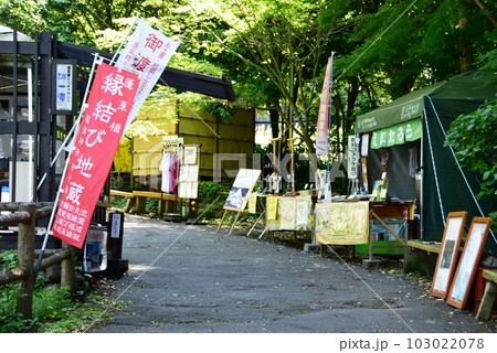 島田市 蓬莱橋南岸の散策路とショップと新緑 島田市 蓬莱橋南岸の散策路とショップと新緑 103022078