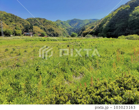 里山の春　農村景観 103023163