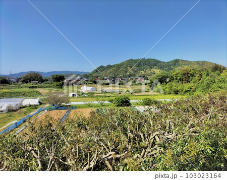 里山の春　農村景観 103023164