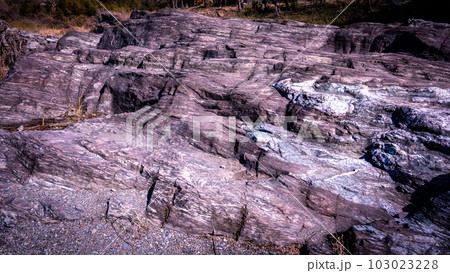 秩父ジオパーク 長瀞岩畳の虎岩 秩父ジオパーク 長瀞岩畳の虎岩 103023228