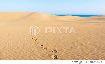 鳥取砂丘 103024624