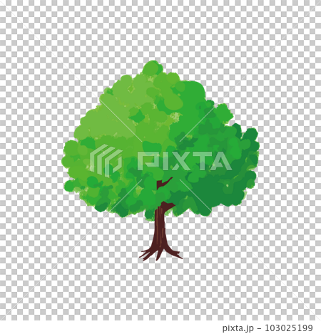 春の樹木を横から見たイラスト 春の樹木を横から見たイラスト 103025199